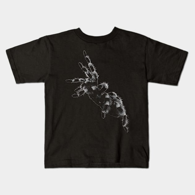 Tarantula, spider Kids T-Shirt by hottehue